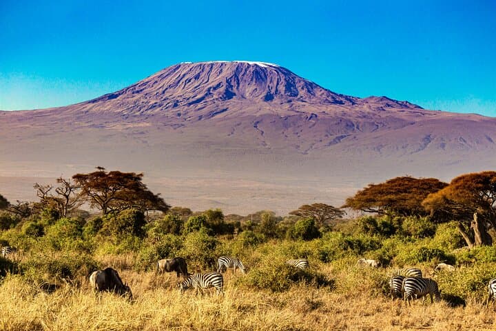 3 Day Amboseli National Park Tour Experience from Nairobi