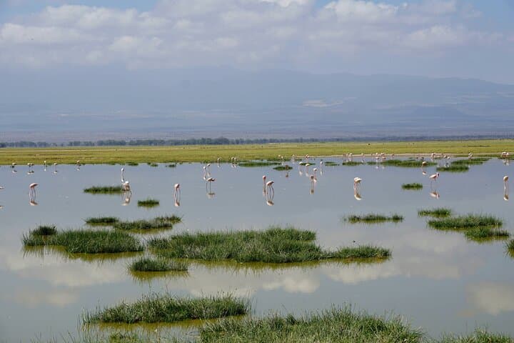 3 Day Amboseli National Park Tour Experience from Nairobi