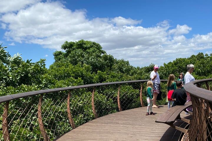 Kirstenbosch Gardens Walk