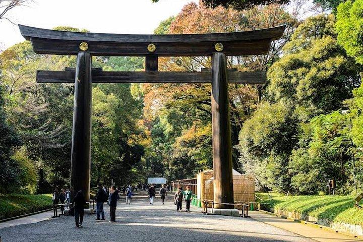 カスタマイズ可能な渋谷・原宿ツアー