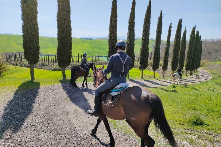 Tuscany Horseback Riding Experience in Buonconvento