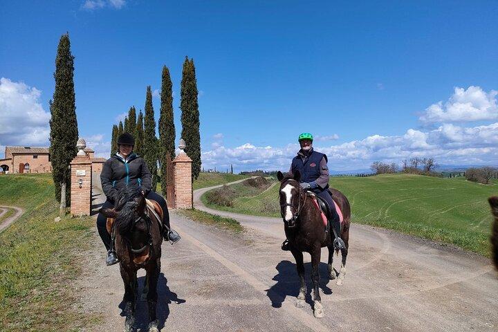 ブオンコンヴェントでトスカーナ乗馬体験