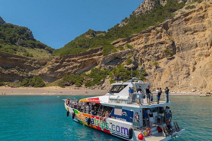 Mallorca: Alcudia Dolphin Watching in a Fast Boat