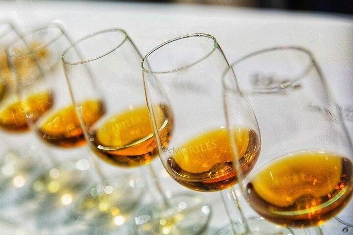 Pedro Ximenez コルドバでワイン＆タパステイスティングを体験
