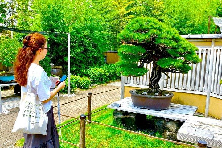 日本一の聖地「盆栽の街」で盆栽アートツアー＆体験