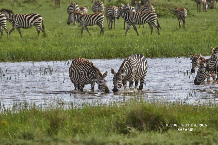 3 daagse Safari in Serengeti National Park en Ngorongoro krater