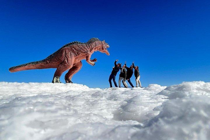 プーノ発ウユニエクスプレス3日間 コパカバーナと太陽の島