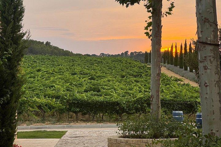 7 Days in Provence - Wine Tour