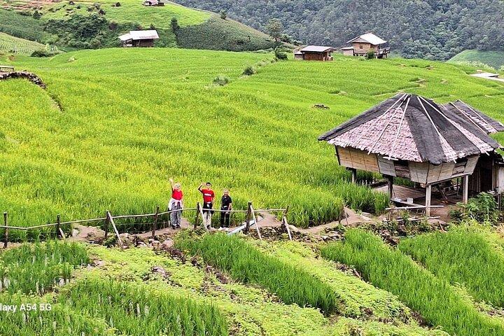 Hoteller i nærheden af Pa Pong Piang Rice Terrace og Doi Inthanon National Park