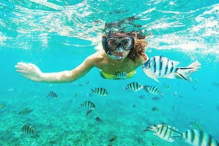 Snorkelen in het Kristalwater van Zanzibar