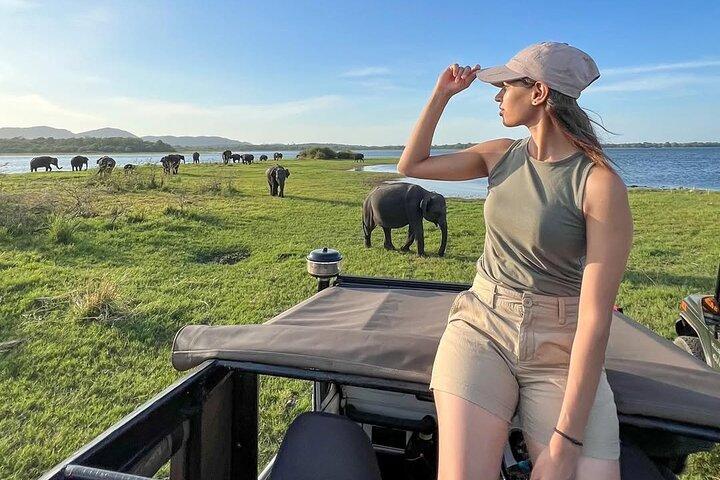 Minneriya National Park Jeep Safari - Private Safari
