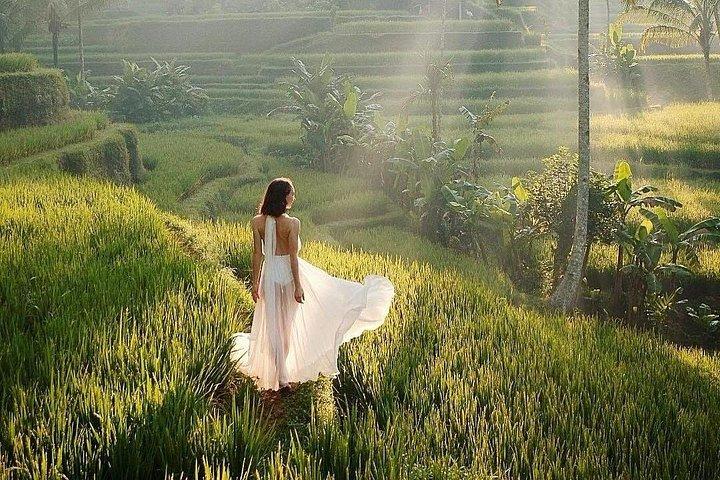 Ubud Monkey Forest Water Temple Waterfall and Rice Terrace