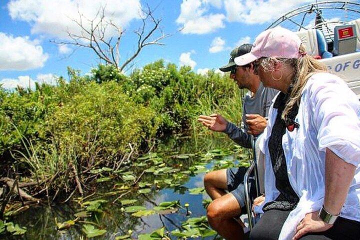Excursion semi-privée en hydroglade de 90 minutes à Miami Everglades