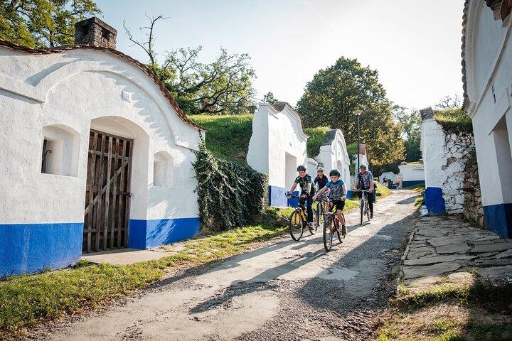 Moravische e-bike & wijn privédagtrip vanuit Brno