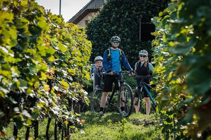 Moravische e-bike & wijn privédagtrip vanuit Brno