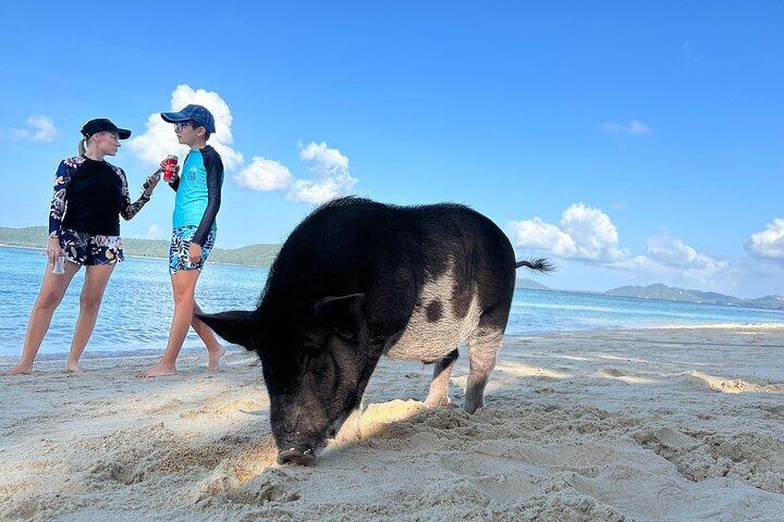 Excursão à Ilha Pig e Koh Tan em lancha (Snorkeling e Caiaque)
