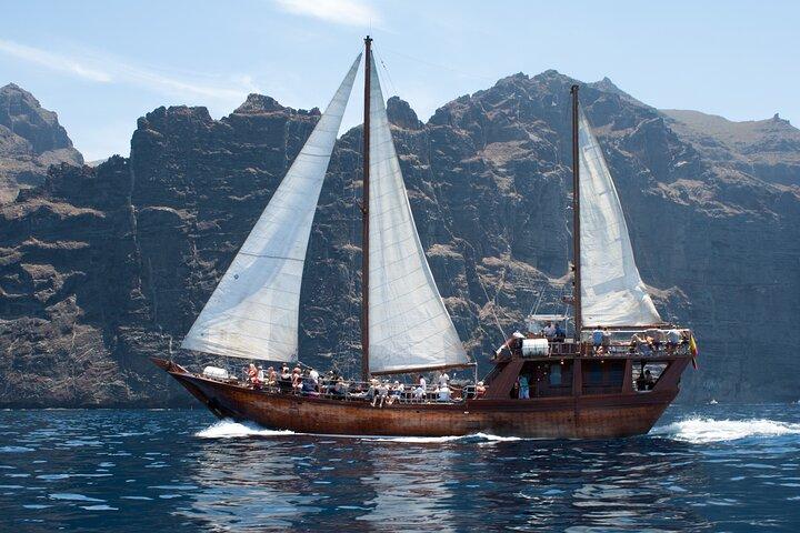 Tenerife: Hvaler og delfiner med fodring og svømning i Los Gigantes