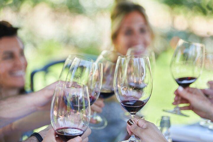 Napa Valley Wine Safari Tour Explorez les joyaux cachés de Wine Country