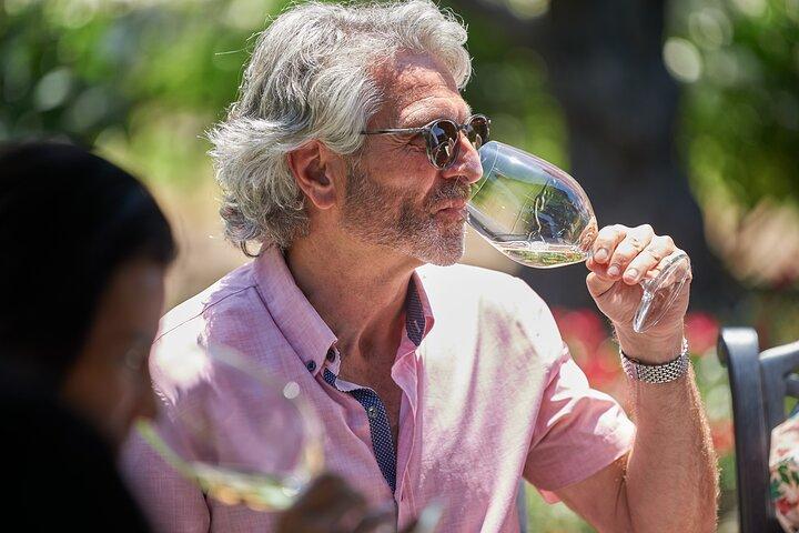 Napa Valley Wine Safari Tour Explorez les joyaux cachés de Wine Country