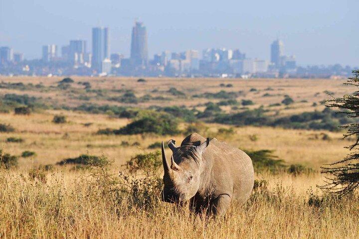 Nairobi Park und Giraffe Center Halbtagestour