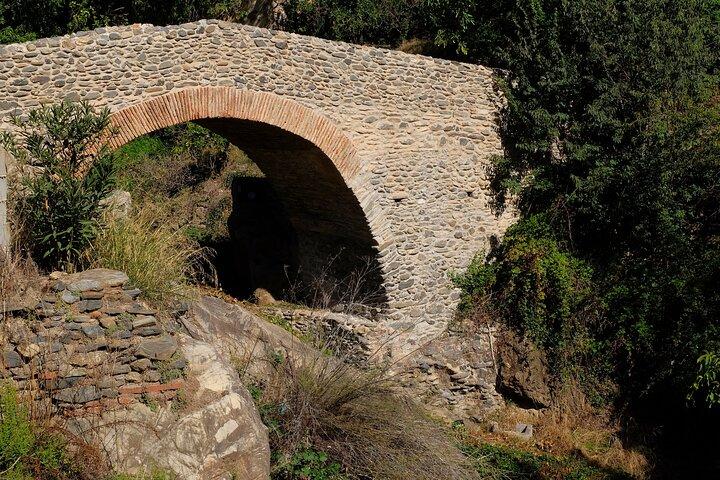 Tour dei villaggi bianchi nella zona di Nerja: Tour e pranzo per piccoli gruppi