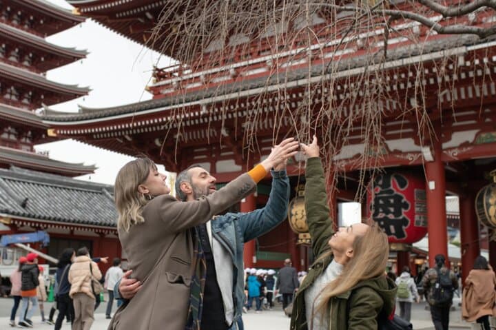 Tokyo Top 10 Highlights & Hidden Gems Private Tour with a Local