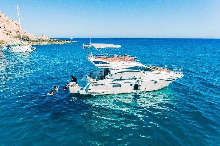 Cabo Snorkeling Private Whale Watching Tours