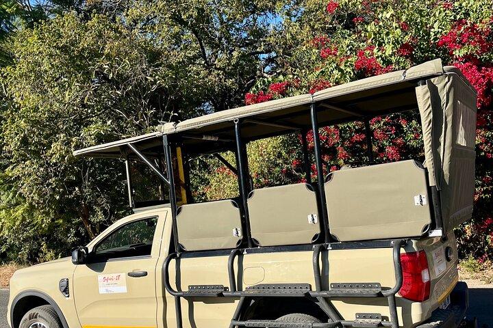 Dia inteiro Safari Game Drive.