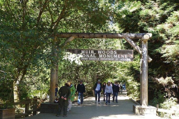 ミュアウッズとサウサリートツアー（半日）