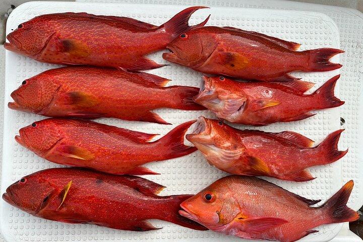 Île d'Ishigaki - Expérience de pêche sur un petit bateau privé - venez les mains vides !Attrape un poisson !Allons manger !~ [Cours d'une journée]