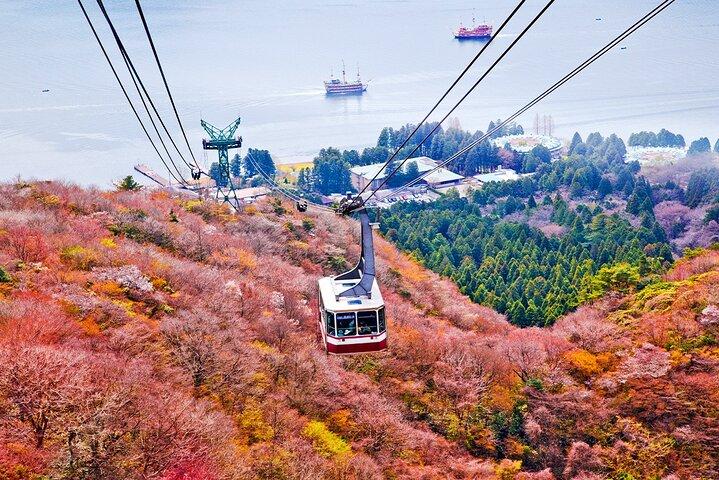 Mt Fuji Hakone Tour från Tokyo : Linbana och kryssningsalternativ