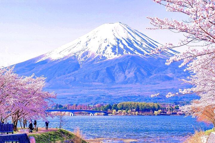 Excursão de um dia no Monte Fuji: Kawaguchi Lake Ropeway, Matcha, Oshino Hakkai