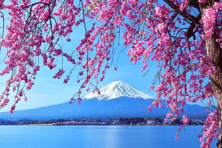 富士山日帰りツアー：河口湖ロープウェイ、抹茶、忍野八海