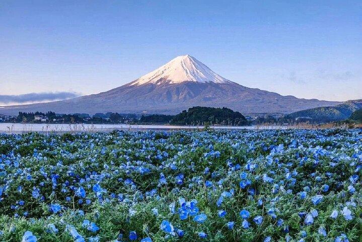 富士山日帰りツアー：河口湖ロープウェイ、抹茶、忍野八海