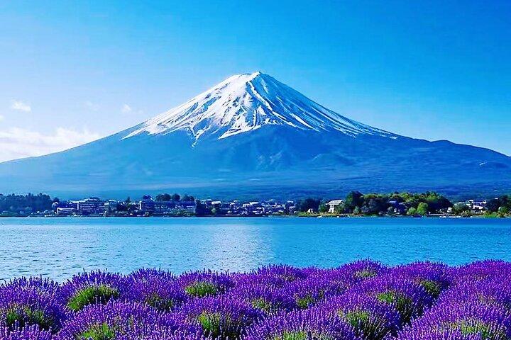 Mt.Fuji Arakurayama Sengen Park, Oshino Hakkai, Kawaguchi Lake Tour