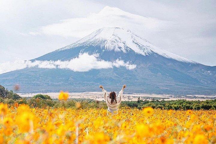 富士山新倉山浅間公園,忍野八海,河口湖ツアー