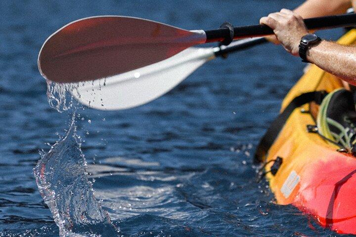 Budva: Kajak & SUP Verhuur