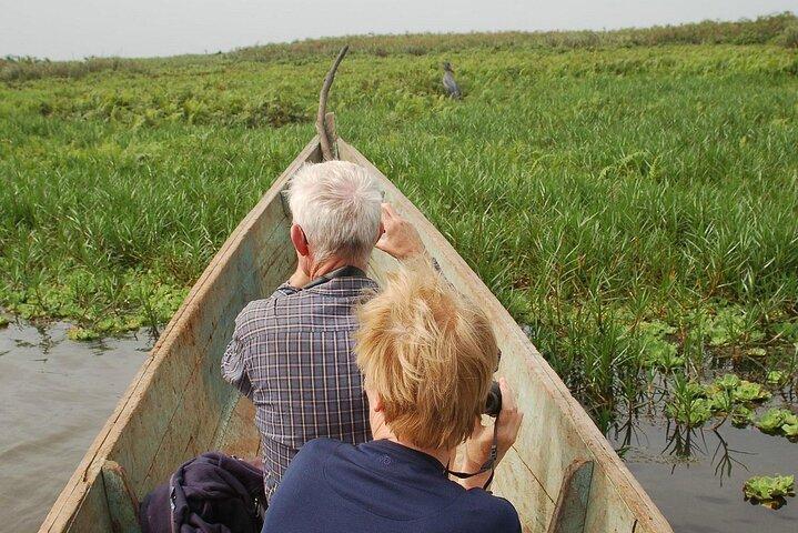 Tour di cicogna e birdwatching a Mabamba swamp