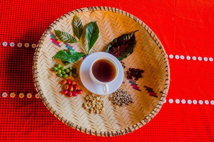 Biologische koffietour en lokale eetervaring in Arusha