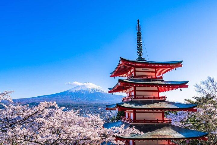 7 dage tilpasset Tokyo og Kansai Classic Family Tour
