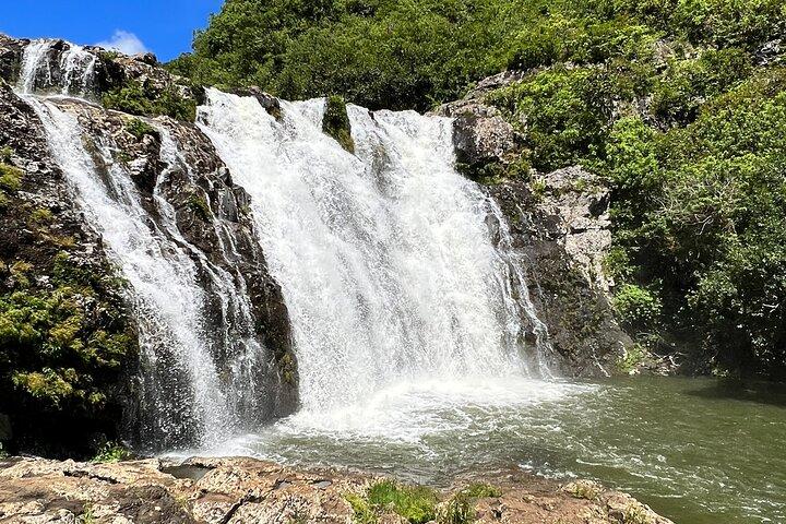Mauritius Central Wilderness Hike & Wine Tour