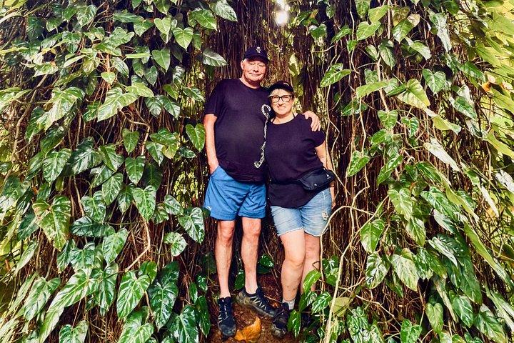 Guided Tropical Forest Therapy Walk in Mauritius
