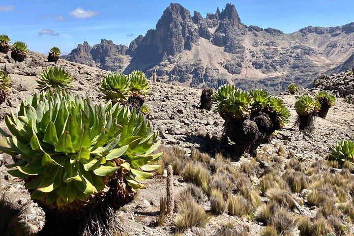 4 Tage Klettertour auf den Berg Kenia