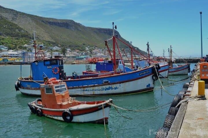Private Cape Peninsula Day Tour - Lux Electric Vehicle / 7 seater