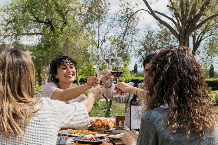 De Barcelona: Torres Winery Tour com degustação de vinhos e tapas