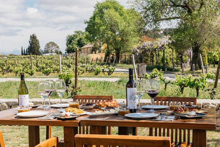 Da Barcellona : Tour della cantina Torres con degustazione di vini e tapas