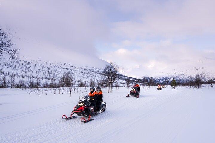 Arctic Combo : slitta trainata da cani, motoslitta e visita alle renne