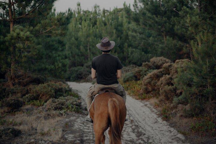 リスボン近郊の乗馬 — プライア・ド・メコの砂丘