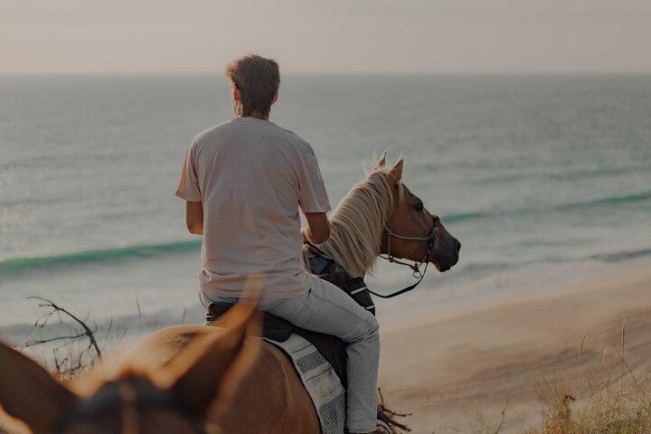 Passeggiate a cavallo nelle dune di sabbia di Praia do Meco | LITS Cavalli