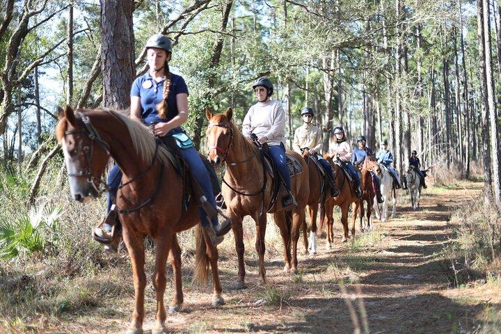 Begeleide twee uur durende paardrijtocht in Centraal Florida